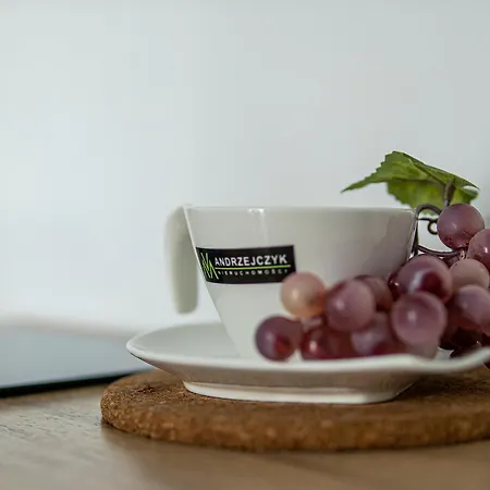 Andrzejczyk - Swietojanska 96 *